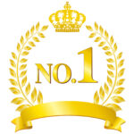 SNS実績NO,1